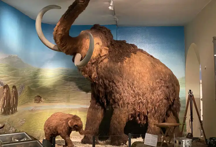Lernort Naturkundemuseum Kassel