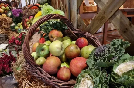 27. Hessische Pomologentage