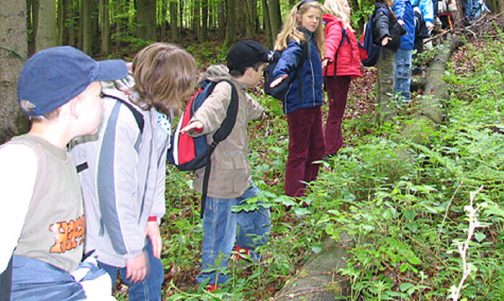 hessen-forst-web01
