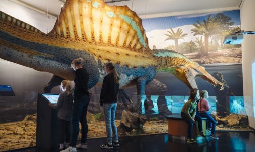Giganten der Urmeere - Ausstellung