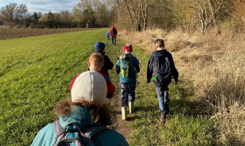 naturwanderung-web