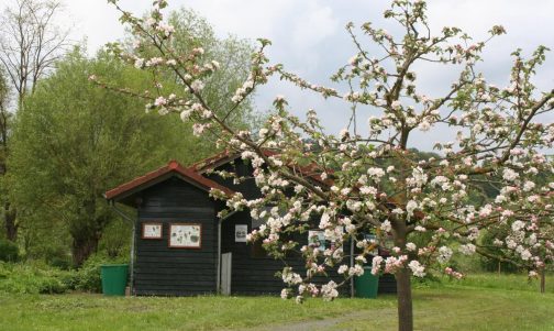 Hummelwerkstatt