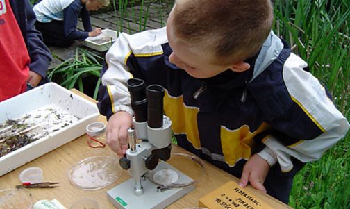 schulbiologie-galerie-03
