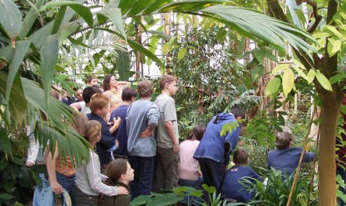 schulklasse-im--palmenhaus-web